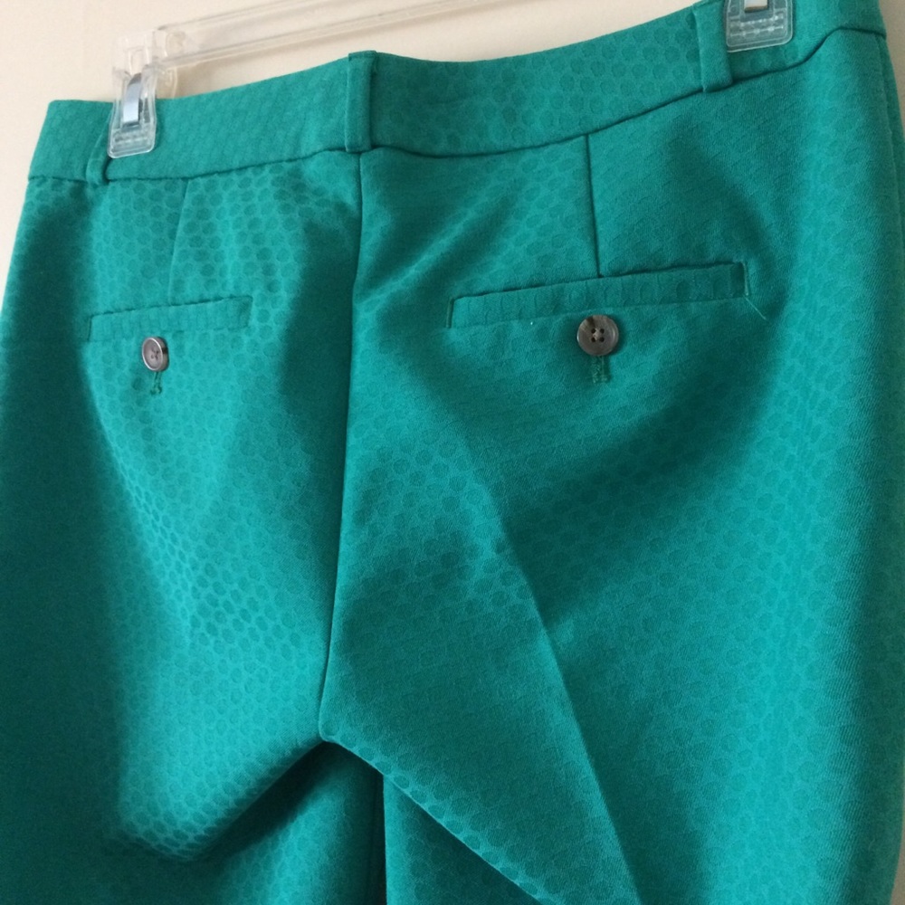 Banana Republic Hampton Fit Pant <2P> - Picture 5 of 10